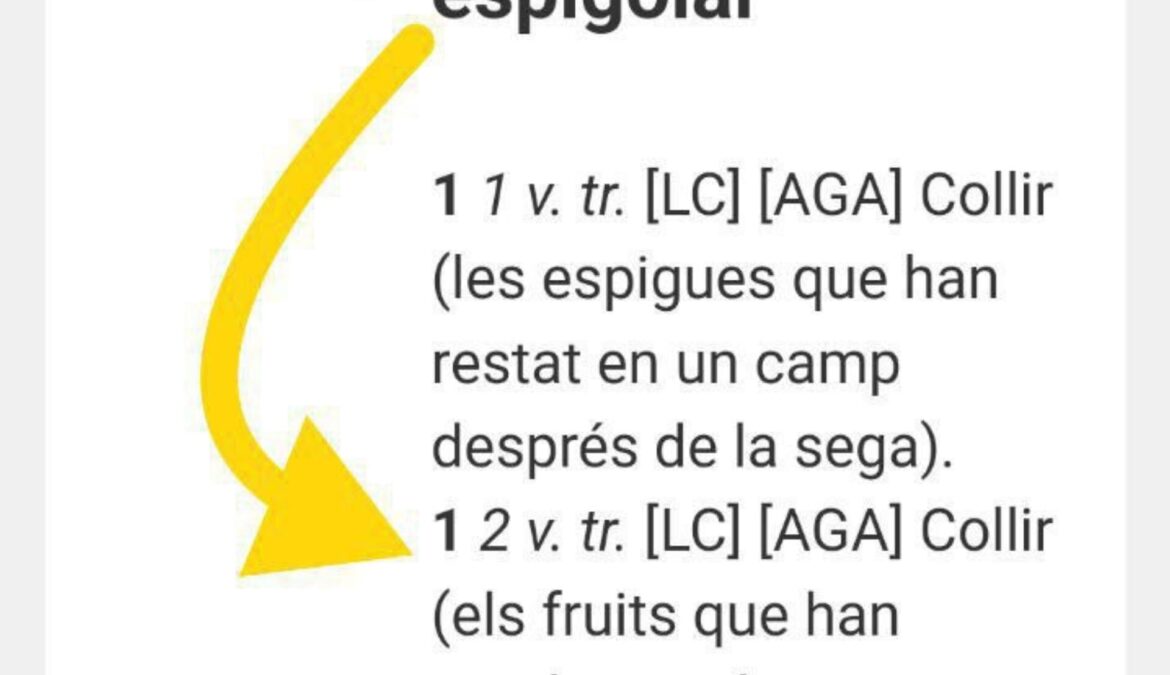 [Activisme existent] Coneixes la fundació Espigoladors?